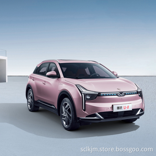 2022 Nuova energia economica Neta U400lite Ternario Batteria al litio Ternario Range elettrico puro 401 km, 5 porte e 5 posti SUV compatto